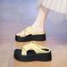2025 Summer French-style Women's Fashion New For Outdoor Wear With Skirts, Black Beach Shoes, Thick-soled Casual Sandals_vogvips.com