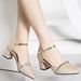 2026 New Versatile Soft Leather Pointed Toe Sandals Women, Fashionable High Heels For Spring And Summer, Chunky Heel_vogvips.com