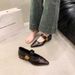 French Thick Heel Single Shoes Women's Spring And Autumn Metal Buckle Pointed Head Shallow Mouth Word With Mary Jane_vogvips.com