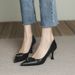French-style High-heeled Women, 2026 Spring Autumn New Model, Pointed Toe, Shallow Cut, Thin Heel, Elegant And_vogvips.com