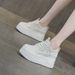 Shoes 2025 New Spring And Autumn Style Thick Bottom Women's Shoes_vogvips.com