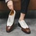 Two Color Suit Men's Shoes Plus Size Business Suit Casual Shoes_vogvips.com