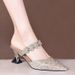 2025 Women's Pointed-Toe High Heels, Closed-Toe, Backless, Rhinestone, Slimming, Spring/Summer, Chunky Heel, European_vogvips.com