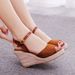 Women’s Shoes Fashion Mary Jane Fish Mouth Wedge Sandals Round Head Waterproof Platform Rope Wedge Sandals Women_vogvips.com