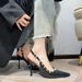 Rivet Net Red High Women's Thin Heels Elegant Single 2025 New Spring Versatile Small Leather Shoes Don't Tire Your Feet_vogvips.com