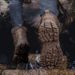Men High-top Boots Outdoor Anti-slip Lace-up Combat Boots Men Comfortable Breathable Wear-resistant Thick-soled Hiking Shoes Men_vogvips.com