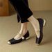 New Chinese Style Retro Square Toe Mary Jane 2025 Spring Summer Shallow Mouth One Strap Soft Sole Internet Celebrity Hot_vogvips.com