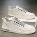 Summer New Breathable Thin Hollow Mesh Men's And Versatile Small White Casual Board Shoes, Trendy Shoes_vogvips.com