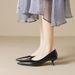 French Cat Heel Pointed Single Shoes Women's Stiletto Work Shoes Light Mouth Temperament High Heels Soft Sole_vogvips.com