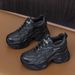 2025 Spring Women's New Style Internal Height Increase Casual Dad White Wedge Platform Thick Sole Mesh Single Shoes With_vogvips.com
