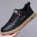 2025 Spring And Autumn New Slip-On Men's Soft Sole Trendy Versatile Casual Leather Shoes Sneakers_vogvips.com