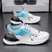 Summer New Breathable Mesh Men's Sports Versatile Casual Dad Trendy Shoes_vogvips.com