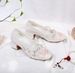 Women’s Shoes Horse Faced Skirt Embroidered Shoes Fashionable High Heeled Hanfu Shoes For Women Temperament Versatile Mary Jane Cheongsam Dance Shoes_vogvips.com