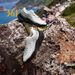 361 Degrees WUXIA 2.0 Lightweight Soft Airy Rebound Cushioning Non-Slip Outdoor Hiking Versatile Sneaker Male 672542201_vogvips.com
