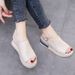 SHLIANG Thick Bottomed Sponge Cake Design Women's Sandals Summer Outerwear Lace-Up Strap Casual Shoes Plus Size High Heels for Women Y0247_vogvips.com