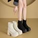 Chunky High Heels 11cm Mesh Platform Thick Sole Petite Princess Slim Knight Height Increasing Women's Boots_vogvips.com