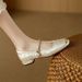 2025 Fashion New Chinese One Belt Low Heel Mary Jane French Water Diamond Style Flat Bottom Single Shoes Women's Dress_vogvips.com
