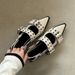 French Style Small Fragrant Pointed Toe Mary Jane Shoes Retro Medium Thick Heel Single Shoes For Women 2024 Spring And Summer_vogvips.com