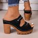 Cross-border Summer New Hollow Thick Heel Thick Sole Women's Metal Buckle Retro Style Daily Street Niche Design Women's Sandals_vogvips.com