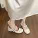 Shallow Single Shoes Women's Thick Heel Soft Sole Temperament With Skirt Gentle French Mary Jane Shoes_vogvips.com