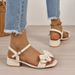 French High Heels Women's 2025 Summer New Fashion Versatile Bowknot Comfortable Ankle Strap Chunky Heel Sandals_vogvips.com