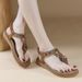 W676-2 New 2025 Toe-Post Rhinestone Sandals For Women Comfortable_vogvips.com