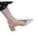 2024 New Spring Summer French Style Simple High Heels Pointed Studded Chunky Heel Shallow Mouth Closed Toe Mary Jane_vogvips.com