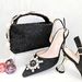 Women’s Shoes Simple party style pointed toe women's shoe and bag set with diamond strap on the handle_vogvips.com
