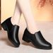 wangjia Wangjia Dropshipping Soft Sole Black Formal Leather Professional Work Single Deep Mouth Women S Shoes Spring_vogvips.com