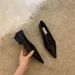 Hong Kong Pointed-toe Women's Shoes 2025 Spring And Autumn New Korean Style Niche Internet Celebrity Chunky Heel Soft_vogvips.com
