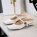 1062-1 European And American Style Shallow Half-slippers For Women, Chunky Low-heel Square-toed Mary Jane With A Single_vogvips.com