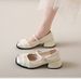 Fairy Style Single Shoes Female Super Fire Versatile Temperament Thick Heel With Skirt One Word With Single Shoes_vogvips.com