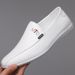 2025 Spring And Autumn New Daily Casual Men's Sole Soft Leather Cover Footwear Lazy Driving Shoes 3056_vogvips.com