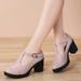 Cross-border Chunky Heel High-heeled Shoes For Women, Mary Jane Large Size Women's Shoes, Wedge Heel, Waterproof_vogvips.com